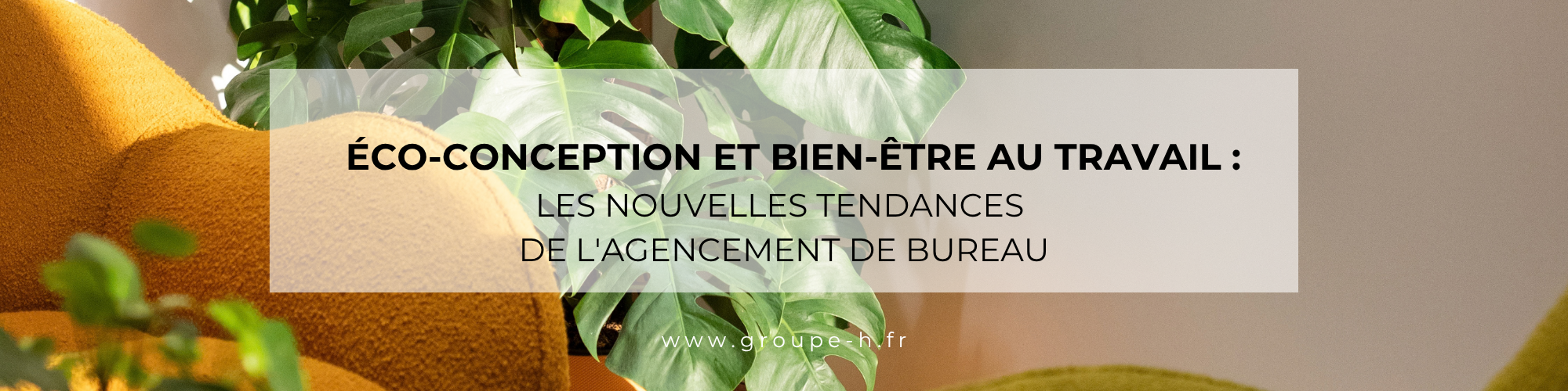 éco-conception et bien-être au travail : les nouvelles tendances de l'agencement de bureau